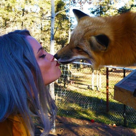 Meet your Posher, Molly - Picture 1 of 1